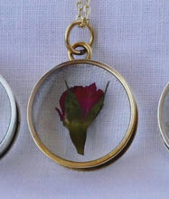 Load image into Gallery viewer, Gold Botanical Necklace - Deep Round