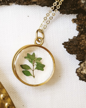 Load image into Gallery viewer, Gold Botanical Necklace - Deep Round