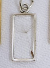 Load image into Gallery viewer, Silver Botanical Necklace - Large Rectangle