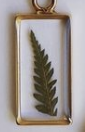 Load image into Gallery viewer, Gold Botanical Necklace - Large Rectangle