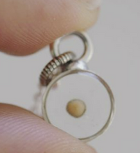 Load image into Gallery viewer, Silver Botanical Necklace - Small Circle