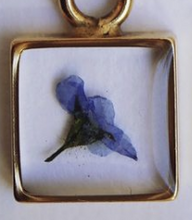 Load image into Gallery viewer, Gold Botanical Necklace - Small Square