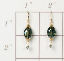 Load image into Gallery viewer, Crystal Herringbone Earrings