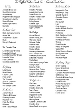 Load image into Gallery viewer, Red Currant & Ivy Soy Candle