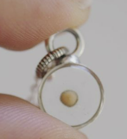 Silver Botanical Necklace - Small Circle